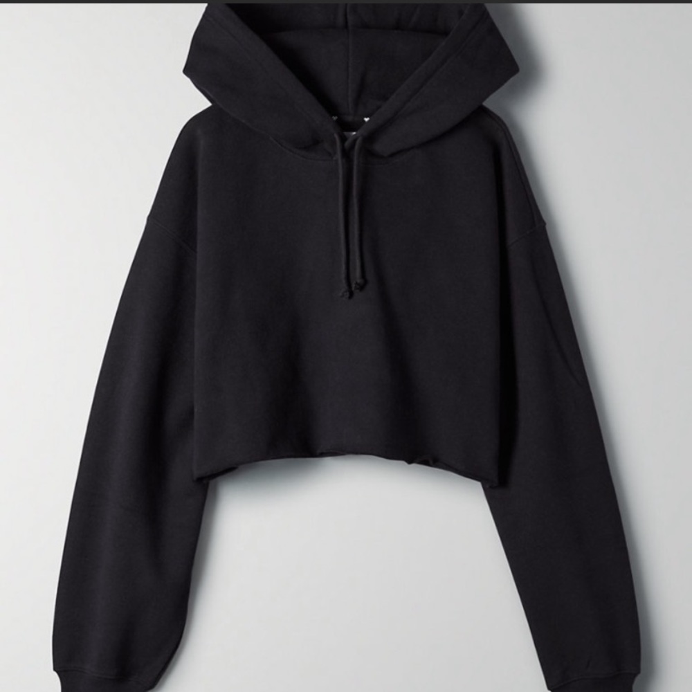 Aritzia TNA Black cropped hoodie